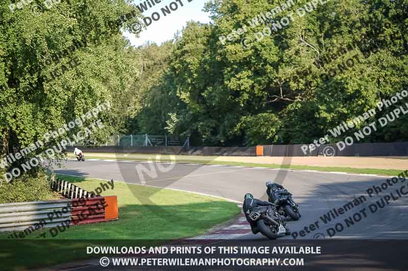 brands hatch photographs;brands no limits trackday;cadwell trackday photographs;enduro digital images;event digital images;eventdigitalimages;no limits trackdays;peter wileman photography;racing digital images;trackday digital images;trackday photos